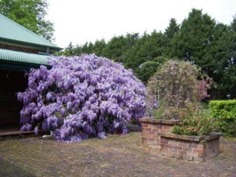 Heronswood House B & B Moss Vale Esterno foto